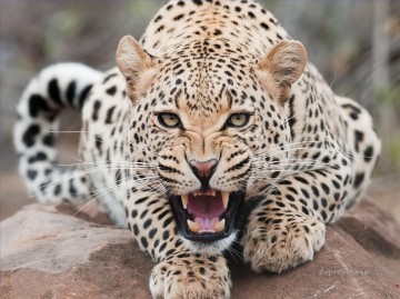Animal Painting - leopardo 26
